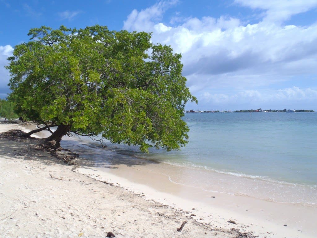 Utila Honduras