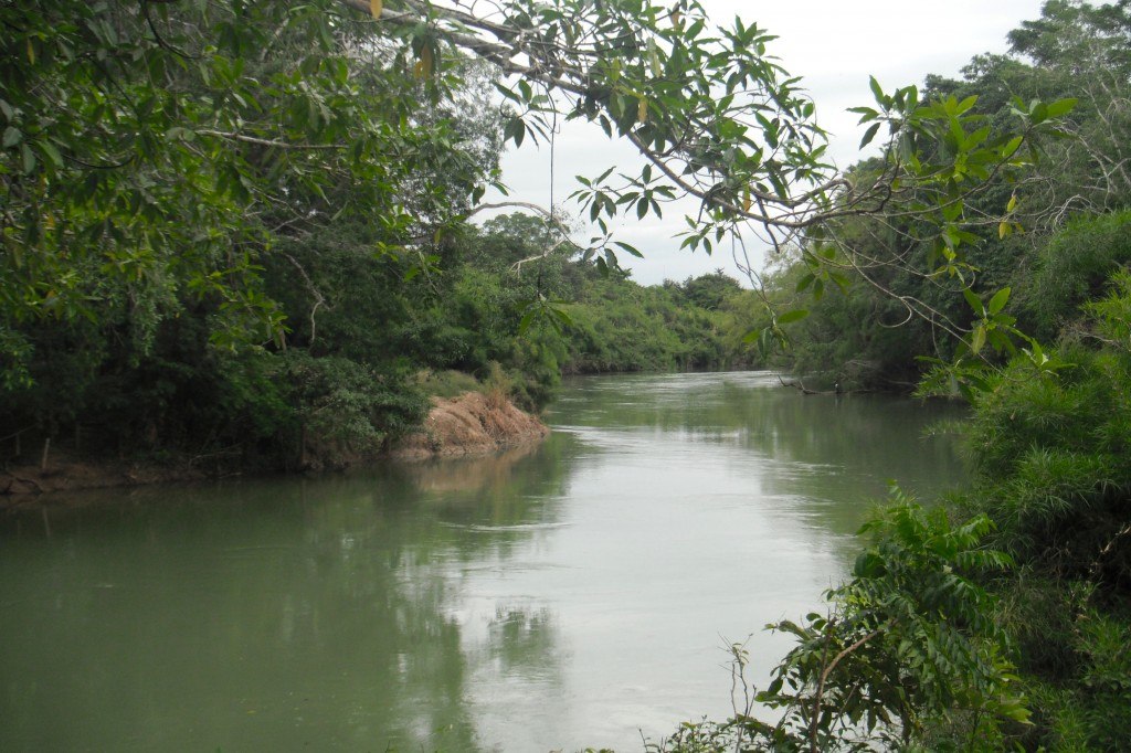 Branch Mouth Things To Do In Belize