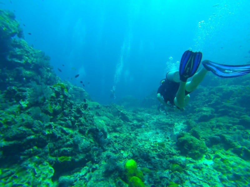 Scuba Diving Nomadasaurus Adventure Travel Blog