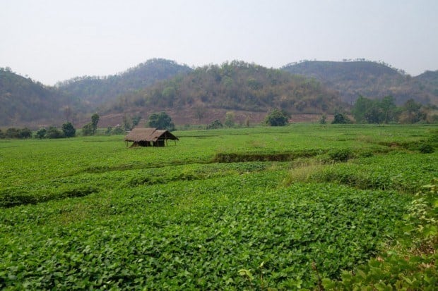 ane of the best experiences to larn virtually the colina tribes inwards Myanmar Trekking To Hill Tribes In Hsipaw