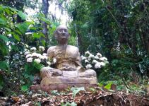 Vipassana Meditation Course in Chiang Mai (What It’s Like)