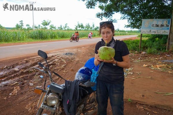 Cambodia Motorcycle Adventure Kampong Thom Kampong Cham Coconut