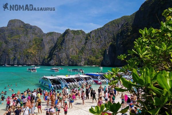 Backpackers Paradox Traveller Vs Tourist Maya Bay Thailand Crowd