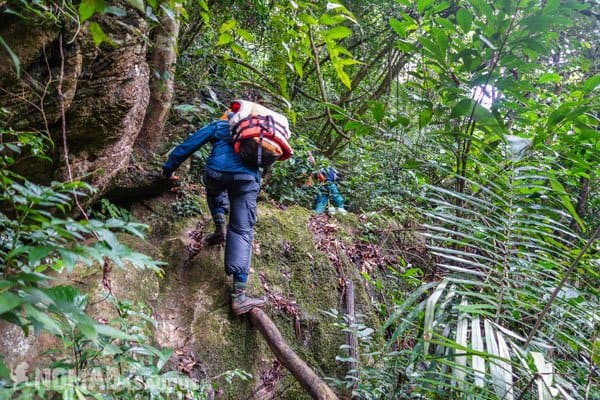 Jazza Trekking Tu Lan Caves Oxalis Expedition 