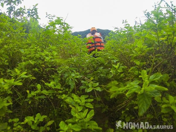The sentiment equally nosotros left Tan Hoa hamlet in addition to the river nosotros had to traverse early inwards our trek Tu Lan Cave Trekking Tour Photo Essay