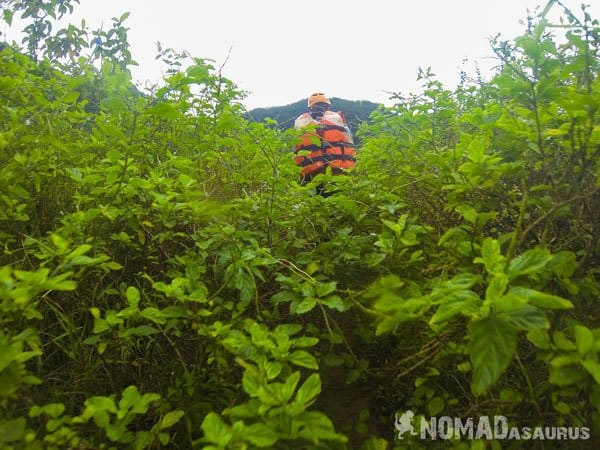 Lesh Valley Tu Lan Caves Oxalis Expedition 