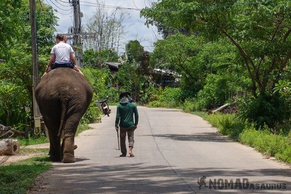 Elephant Tour Trek Sen Monorom Mondulkiri Cambodia Pai Thailand