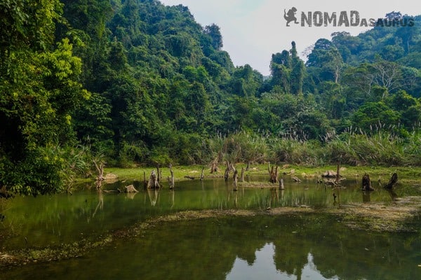 Lake View Cuc Phuong National Park Waste Litter Trash