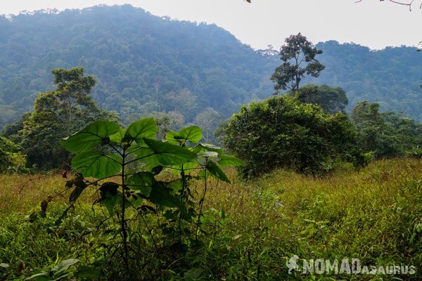 Nice View Cuc Phuong National Park Waste Litter Trash