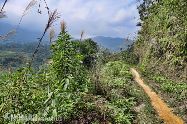 Narrow Dirt Track Mai Chau Vietnam