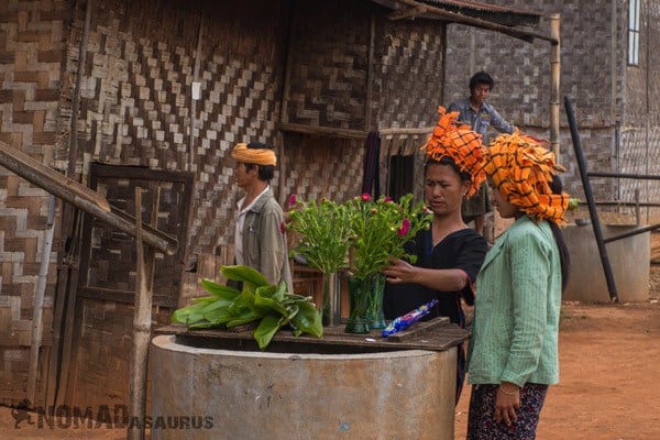 Flowers Trekking From Kalaw To Inle Lake Myanmar Burma