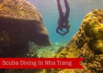 Scuba Diving In Nha Trang – Is It Worth It?