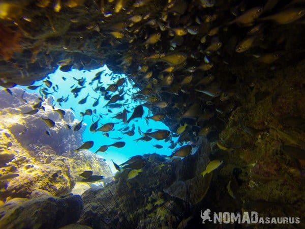 Scuba Diving In Nha Trang Vietnam