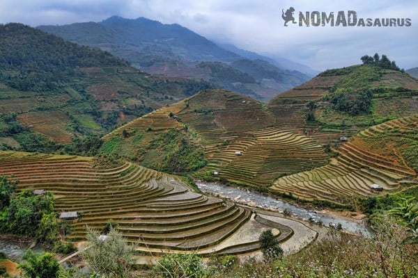 Rice Terraces Than Uyen Northern Vietnam Motorcycle Adventure North Riding Motorbike Ha Giang