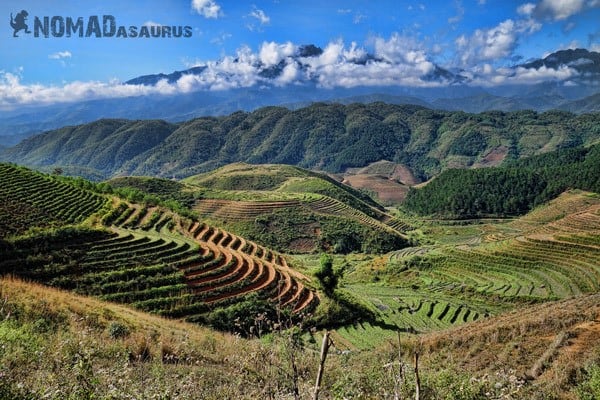 Rice Fields Photos Make You Travel To Vietnam