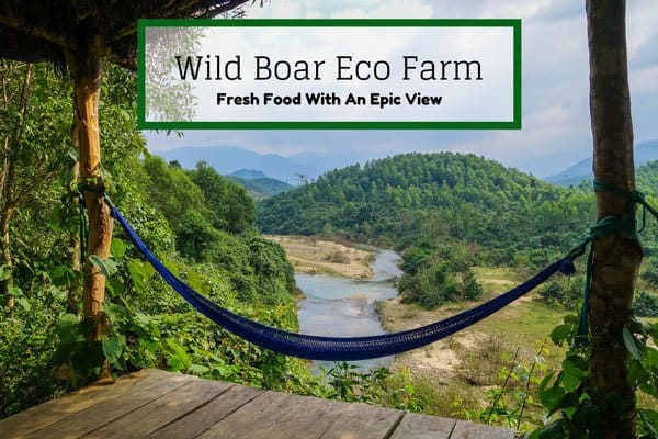 Wild Boar Eco Farm Phong Nha Vietnam