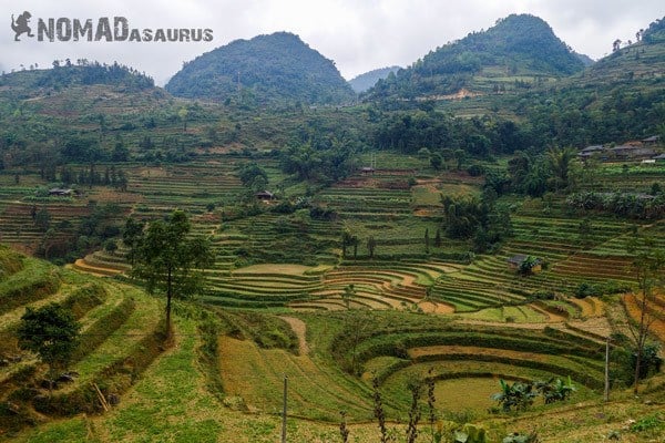 Xin Man Rice Fields Northern Vietnam Motorcycle Adventure North RIding Motorbike Ha Giang