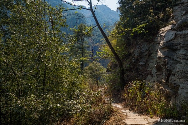 Overgrown Path Hiking Mount Cangshan Dali Yunnan China