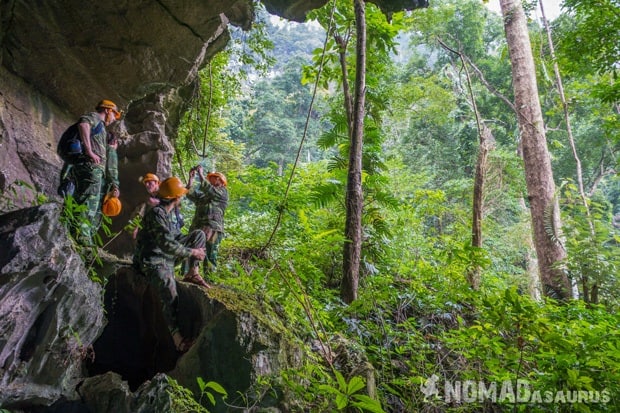 New Cave Life In Phong Nha Vietnam Images Pictures Photo Gallery