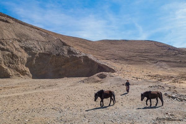 Nomads Horsestibet Overland Route Shangri La To Chengdu Kham Province Travel