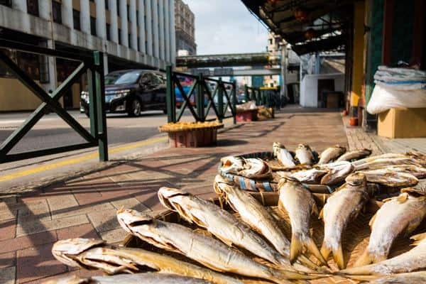 Fish Drying Best Things To Do In Macau With One Day