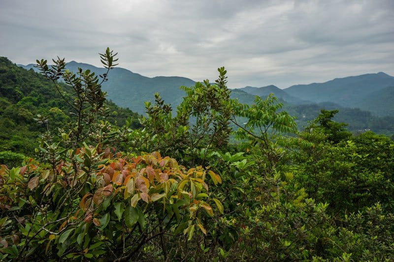 Dragons Back Beaches Nature Hiking Free Camping inwards Hong Kong Hiking, Beaches together with Free Camping inwards Hong Kong