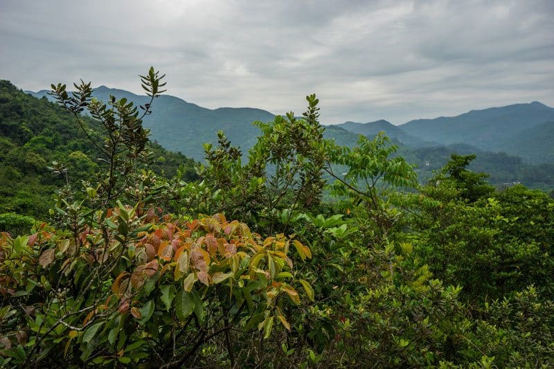 Maclehose Trail Beach Hiking Nature Free Camping In Hong Kong