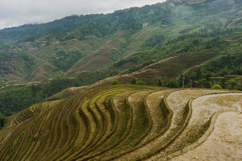 Longsheng Longji Rice Terraces Dragon's Backbone Guangxi China