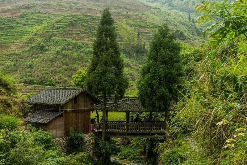 Longsheng Longji Rice Terraces Dragon's Backbone