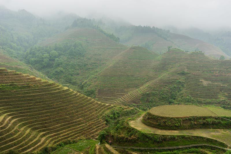 Longsheng Longji Rice Terraces Dragon's Backbone