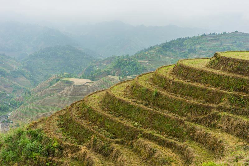 Longsheng Longji Rice Terraces Dragon's Backbone