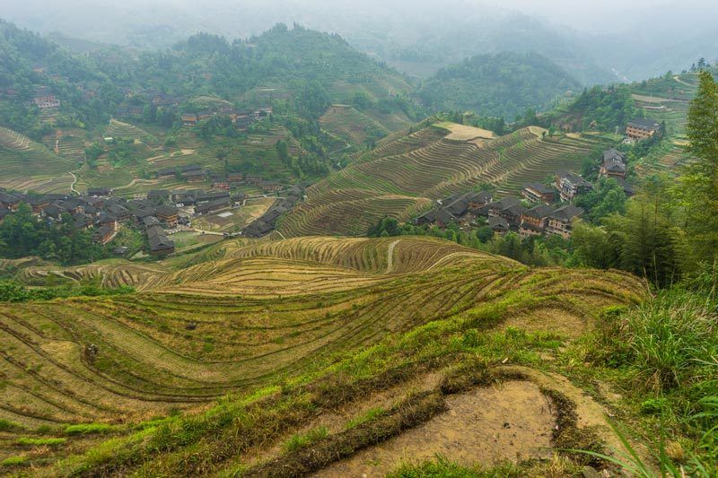 Longsheng Longji Rice Terraces Dragon's Backbone