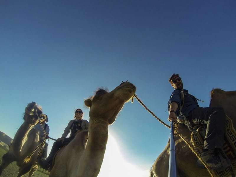 Riding Camels Gobi Desert Khongor Sand Dunes Selena Travel Tour