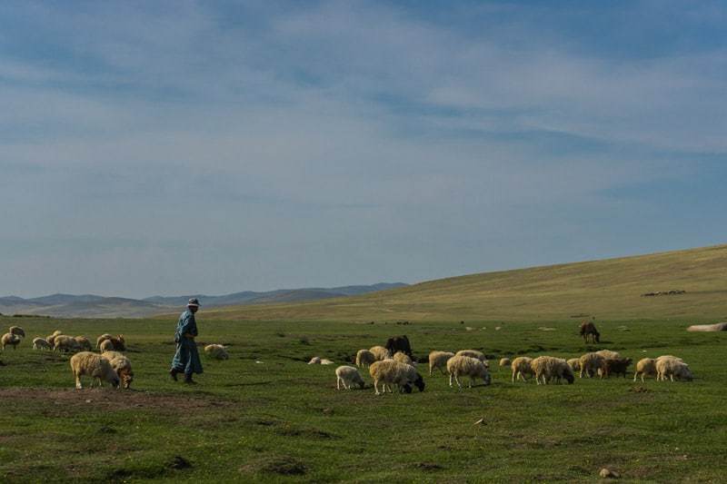 Gobi Desert Tour Mongolia Photo Journal Selena Travel