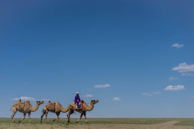 Camel Riding Gobi Desert Tour Mongolia Photo Journal Selena Travel