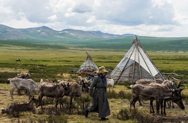 Young Girl Tsaatan Dukha Reindeer Herders Mongolia Mongolia’s Mystical Tsaatan Reindeer People