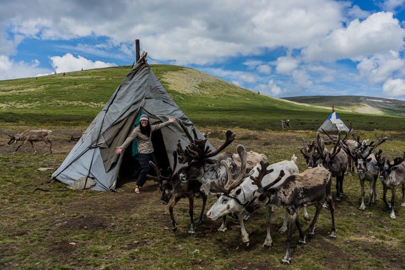 Teepee Tsaatan Dukha Reindeer Herders Mongolia