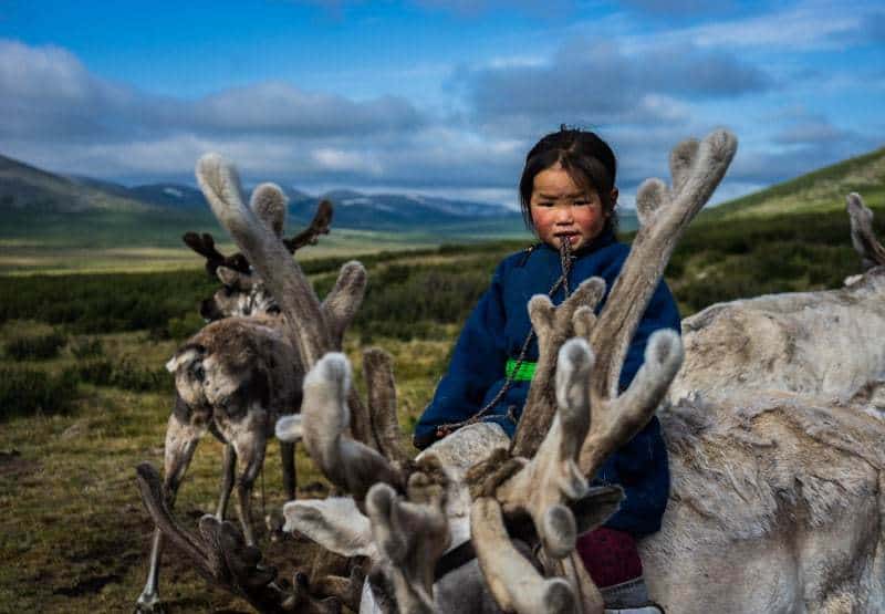 Young Girl Tsaatan Dukha Reindeer Herders Mongolia