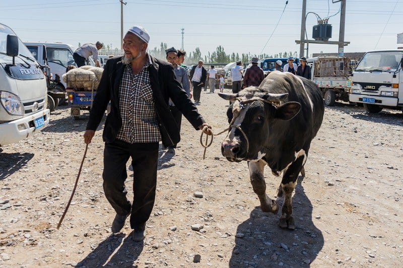 Sunday Livestock Bazaar Market A Day In Kashgar City Tour China