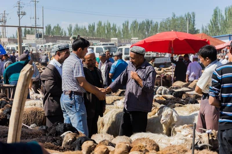 Sunday Livestock Bazaar Market A Day In Kashgar City Tour China