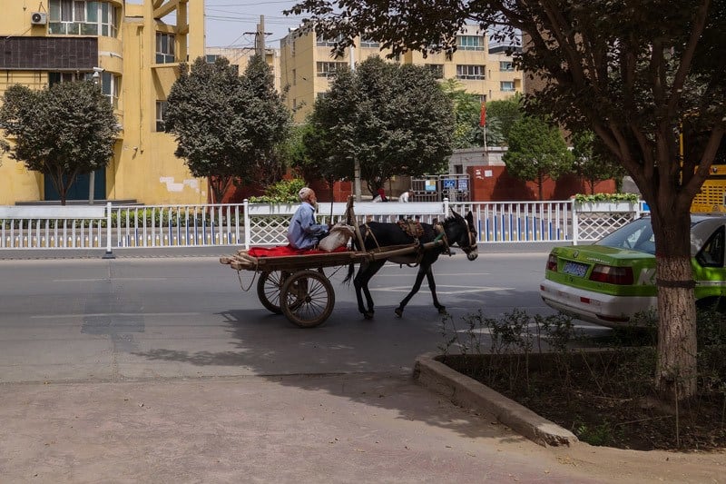Donkey Man A Day In Kashgar City Tour China