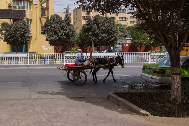 Donkey Man A Day In Kashgar City Tour China