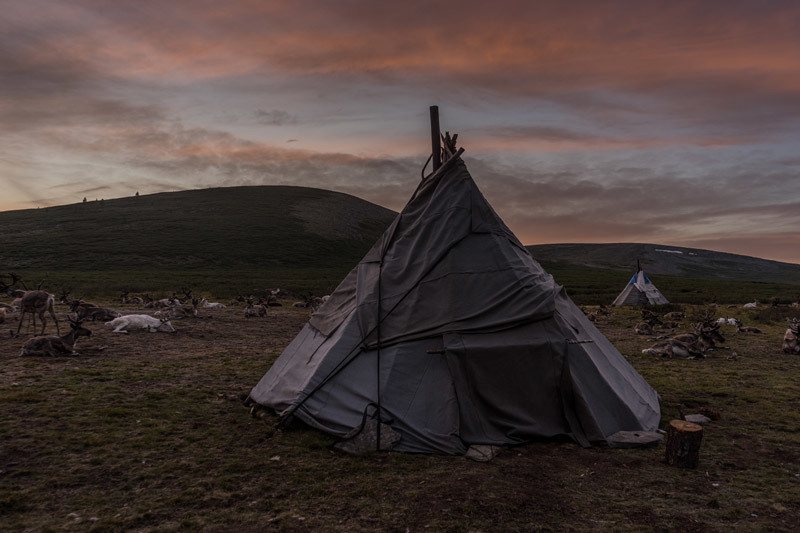 Tsaatan People Dukha Reindeer Herders Mongolia