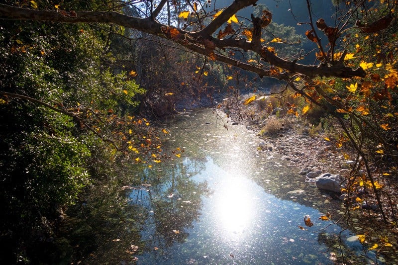 River Bed Olympos Turkey