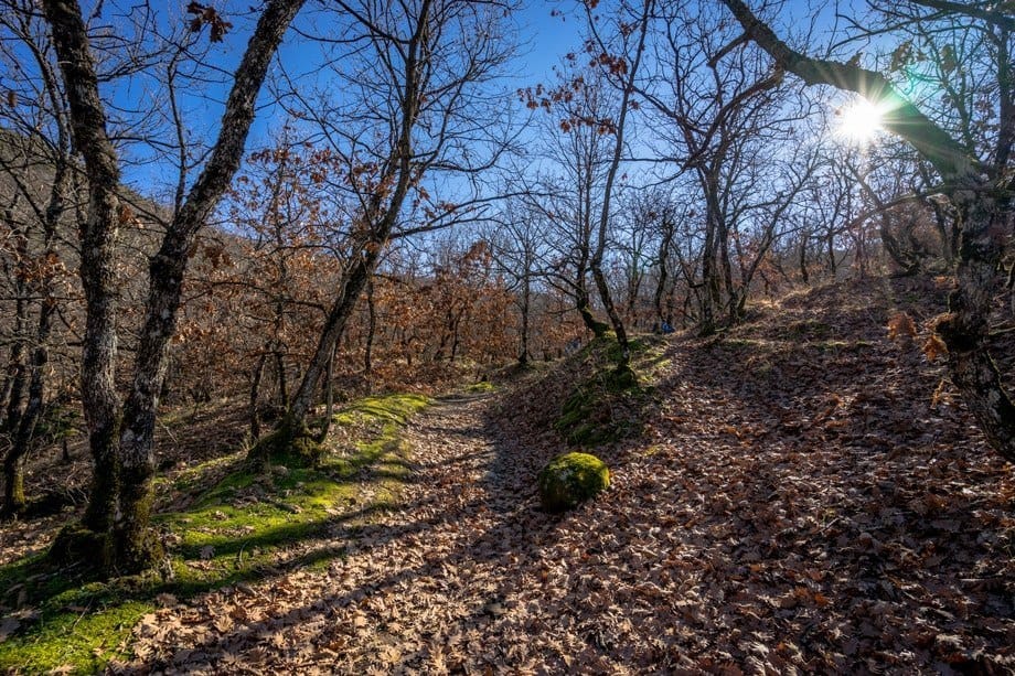 Forest Hiking Tour Of Meteora Monasteries