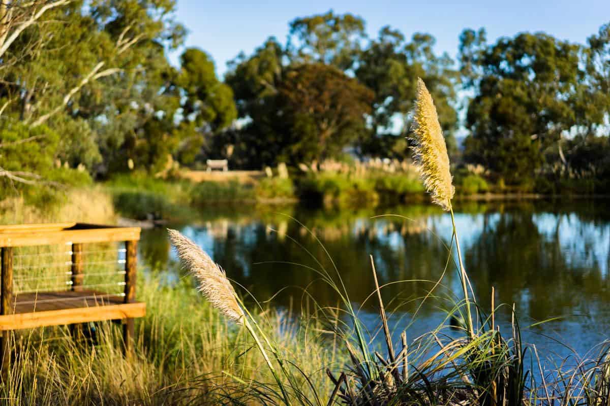 Lake Maggie Beer Indian Pacific Rail Journey