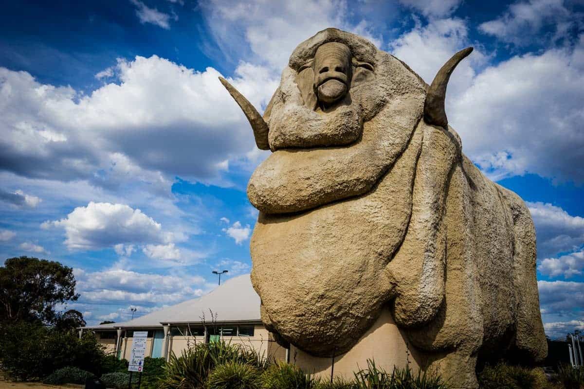 Big Merino Goulburn New South Wales Road Trip