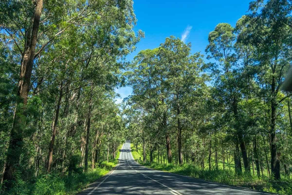 Long Road New South Wales Road Trip