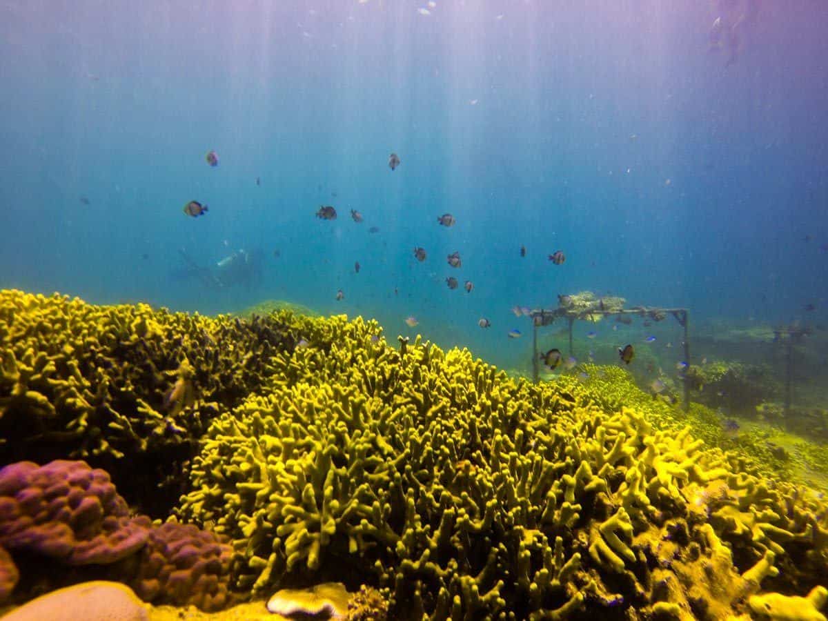 the listing is almost never ending for the best things to exercise inwards Ao Nang 10 of the Best Things to Do inwards Ao Nang, Thailand