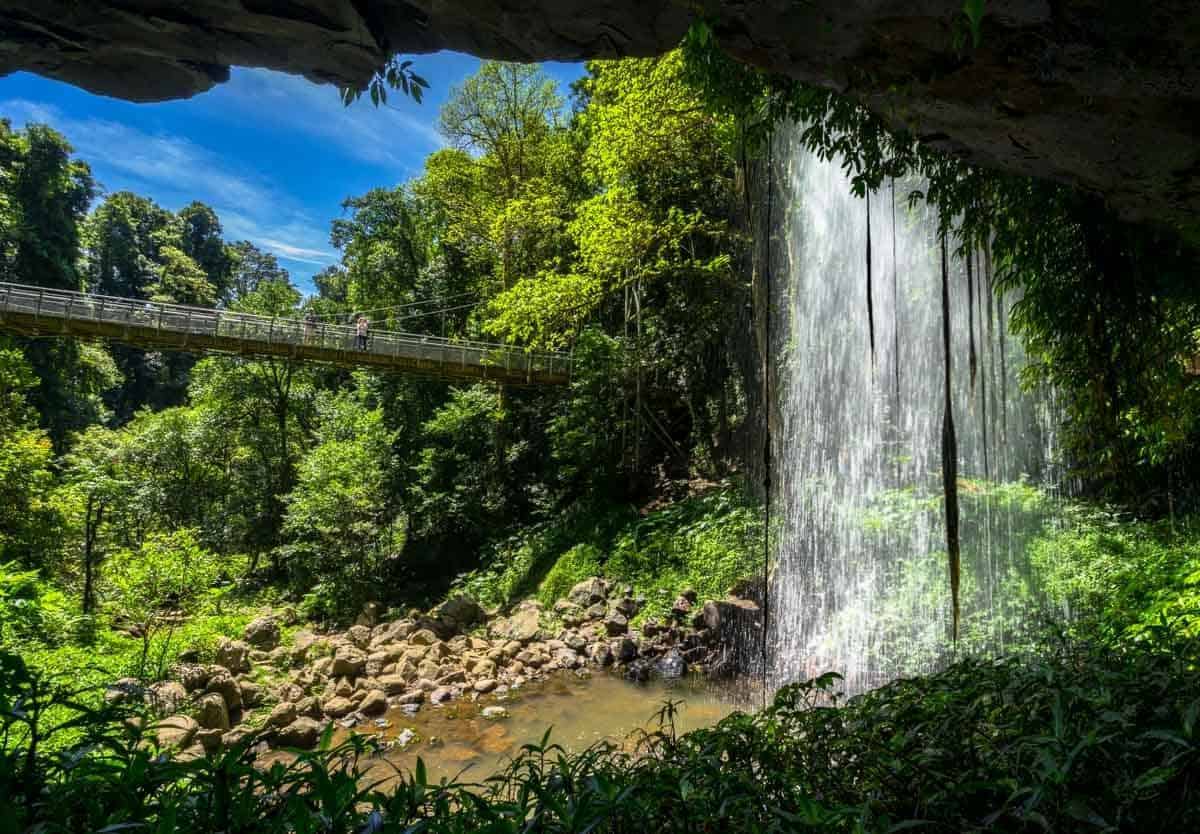 Waterfall Dorrigo New South Wales Road Trip